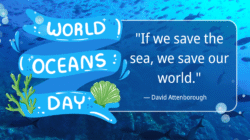 World Oceans Day: Why Water Safety and First Aid Matter More Than Ever 
