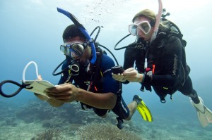 Updated Scientific Diver course