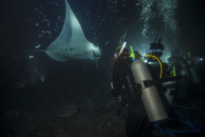 SISOSCB003 SCUBA dive at night